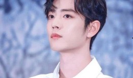 肖战王一博最新粉丝爆料,最新动态曝光，精彩瞬间引热议